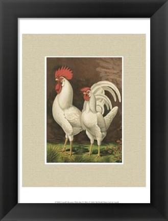 Framed Cassell&#39;s Roosters with Mat VI Print