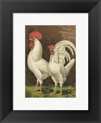 Framed Cassell&#39;s Roosters with Mat VI Print