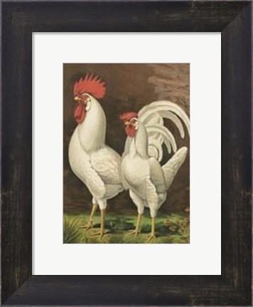 Framed Cassell&#39;s Roosters with Mat VI Print