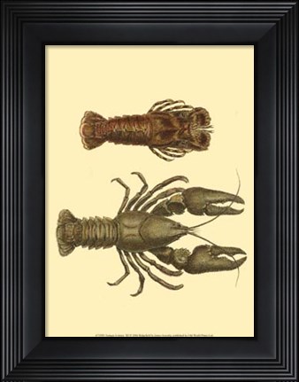 Framed Antique Lobster III Print