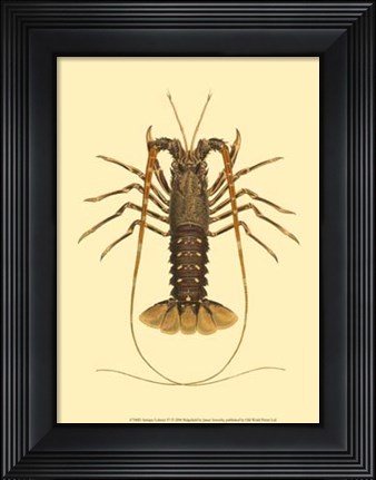 Framed Antique Lobster IV Print