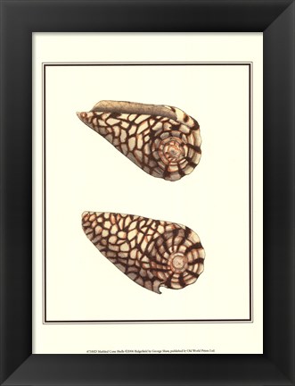 Framed Marbled Cone Shells Print