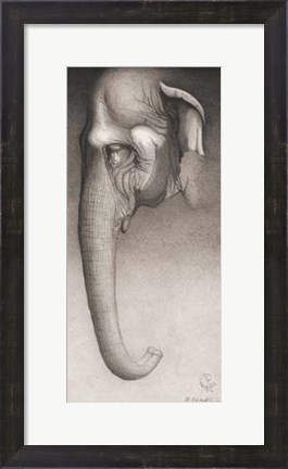 Framed Toni, the Elephant Print