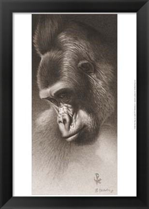 Framed Silver Back, the Gorilla Print