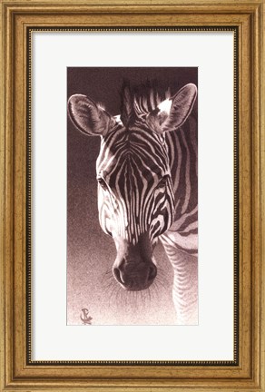 Framed Grant, the Zebra Print