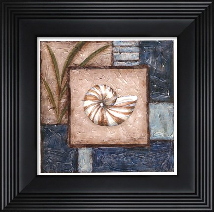 Framed Shell Montage I Print
