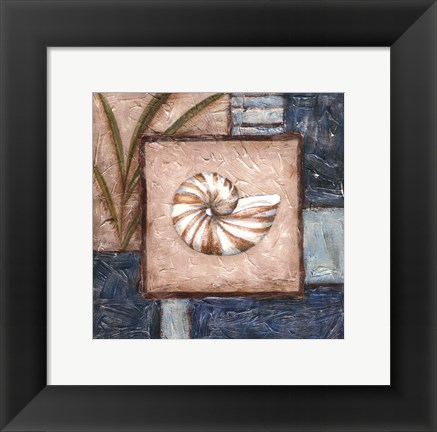 Framed Shell Montage I Print
