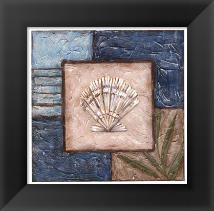 Framed Shell Montage II Print
