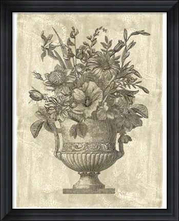 Framed Floral Splendor II Print