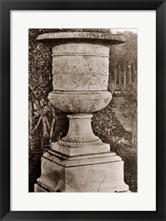 Framed Versailles Urn II Print