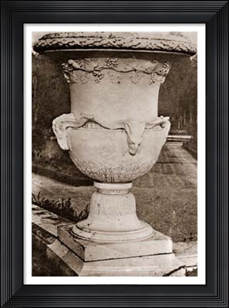 Framed Versailles Urn III Print