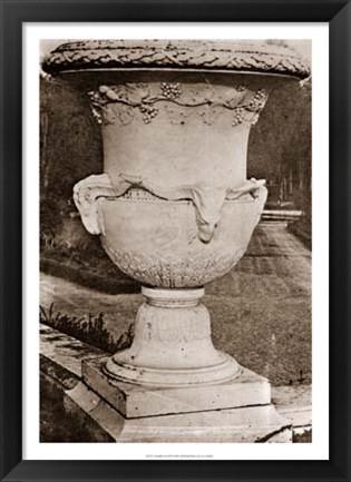 Framed Versailles Urn III Print