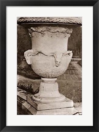 Framed Versailles Urn III Print