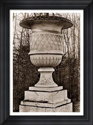Framed Versailles Urn IV Print