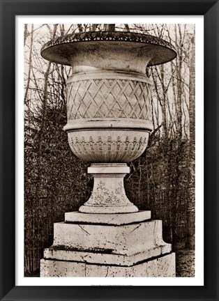 Framed Versailles Urn IV Print