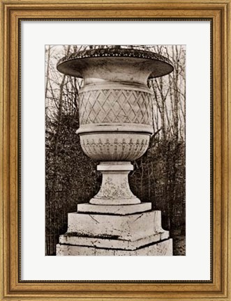 Framed Versailles Urn IV Print
