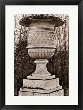 Framed Versailles Urn IV Print