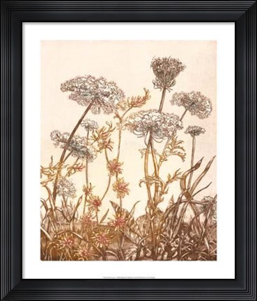 Framed Field of Lace I Print