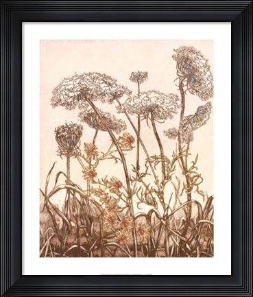 Framed Field of Lace II Print