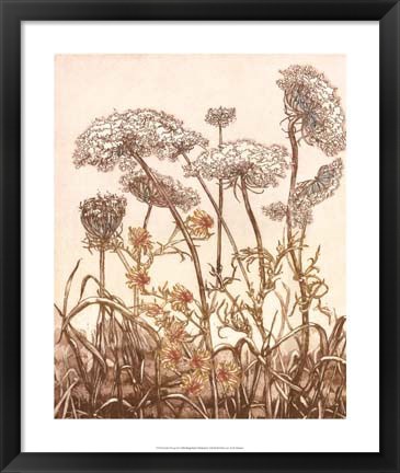 Framed Field of Lace II Print