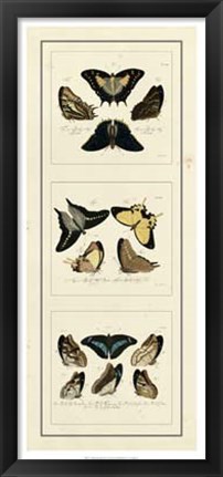 Framed Antique Butterfly Panel I Print