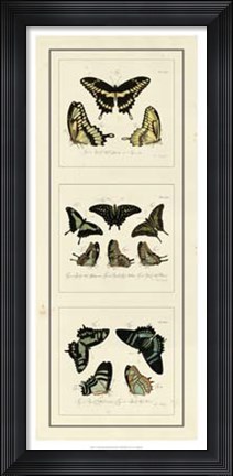 Framed Antique Butterfly Panel II Print
