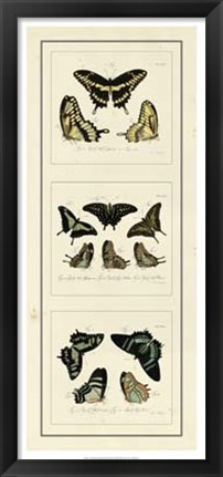 Framed Antique Butterfly Panel II Print