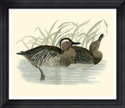 Framed Ducks II Print