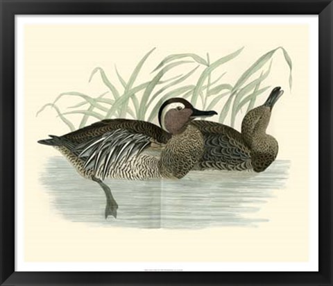 Framed Ducks II Print