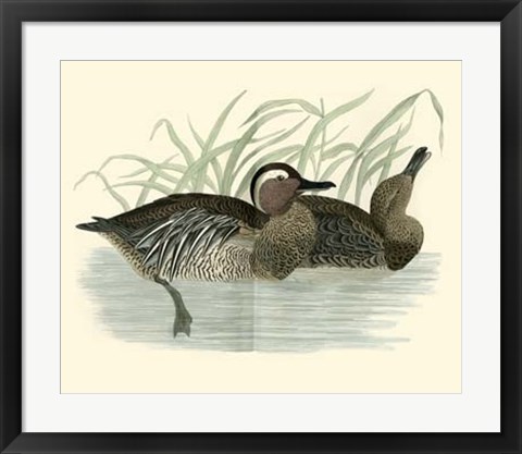 Framed Ducks II Print