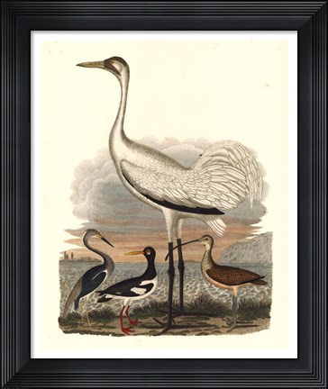Framed Heron Family III Print