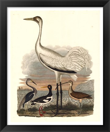 Framed Heron Family III Print