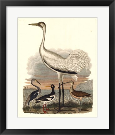 Framed Heron Family III Print