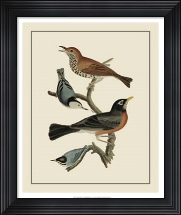 Framed Bird Family I Print