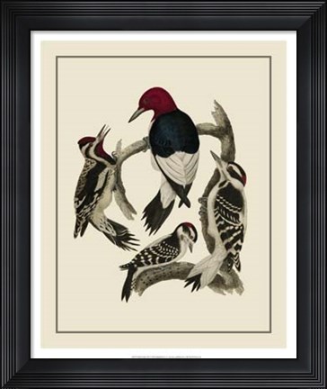 Framed Bird Family III Print