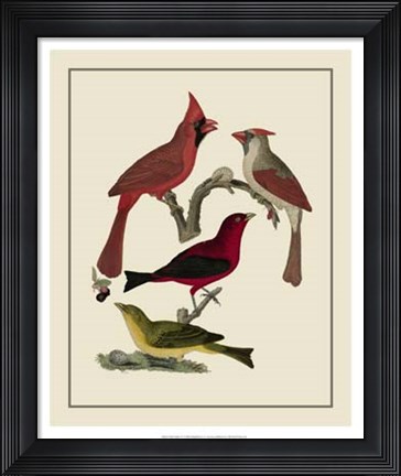 Framed Bird Family IV Print