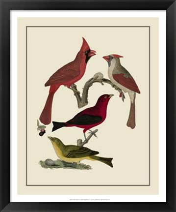 Framed Bird Family IV Print