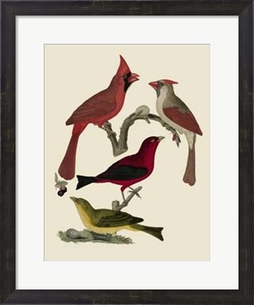 Framed Bird Family IV Print