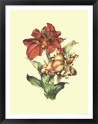 Framed Lush Floral I Print