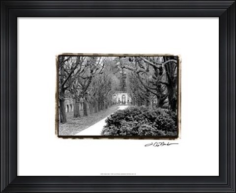 Framed Garden Walk Print