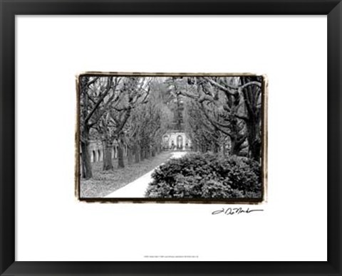 Framed Garden Walk Print