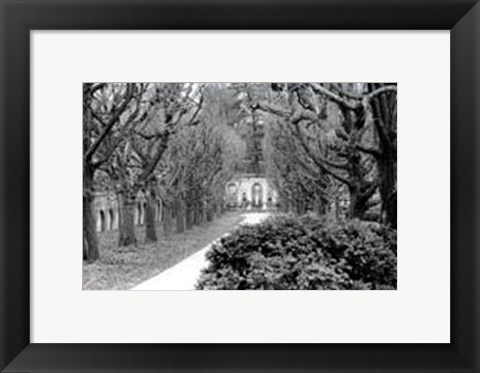 Framed Garden Walk Print