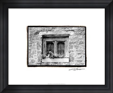 Framed Window Flowers Print