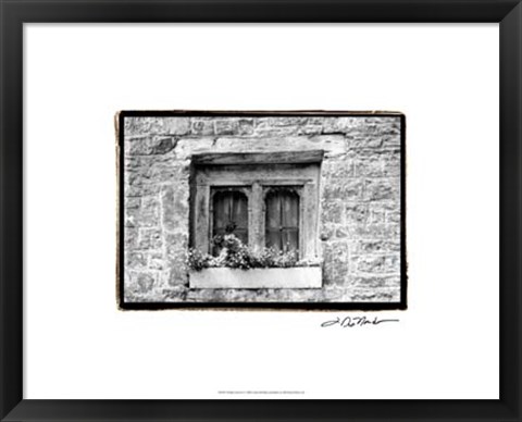 Framed Window Flowers Print