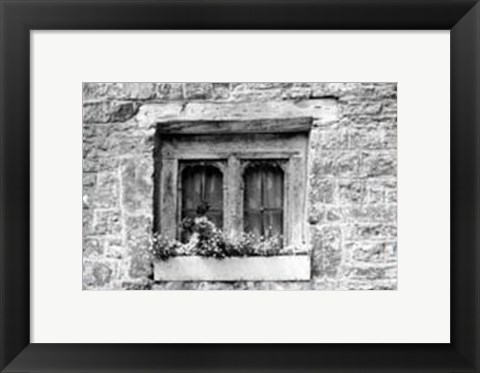 Framed Window Flowers Print