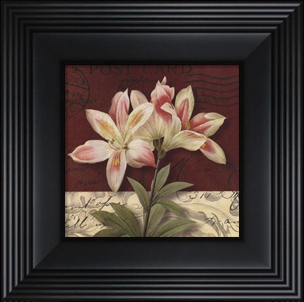 Framed Postcard Lily Print
