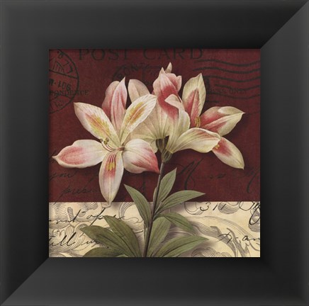 Framed Postcard Lily Print