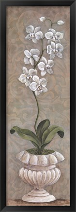 Framed Lavish Orchids I Print