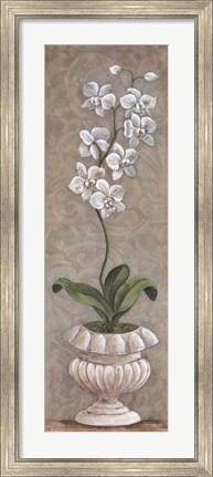 Framed Lavish Orchids I Print