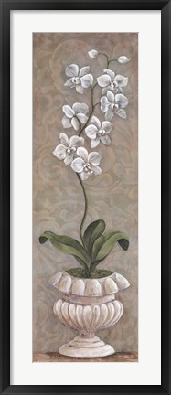 Framed Lavish Orchids I Print